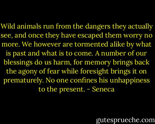 Wild animals run from the dangers they actually see, and once they have escaped them worry no more. We however are tormented alike by what is past and what is to come. A number of our blessings do us harm, for memory brings back the agony of fear while foresight brings it on prematurely. No one confines his unhappiness to the present. - Seneca