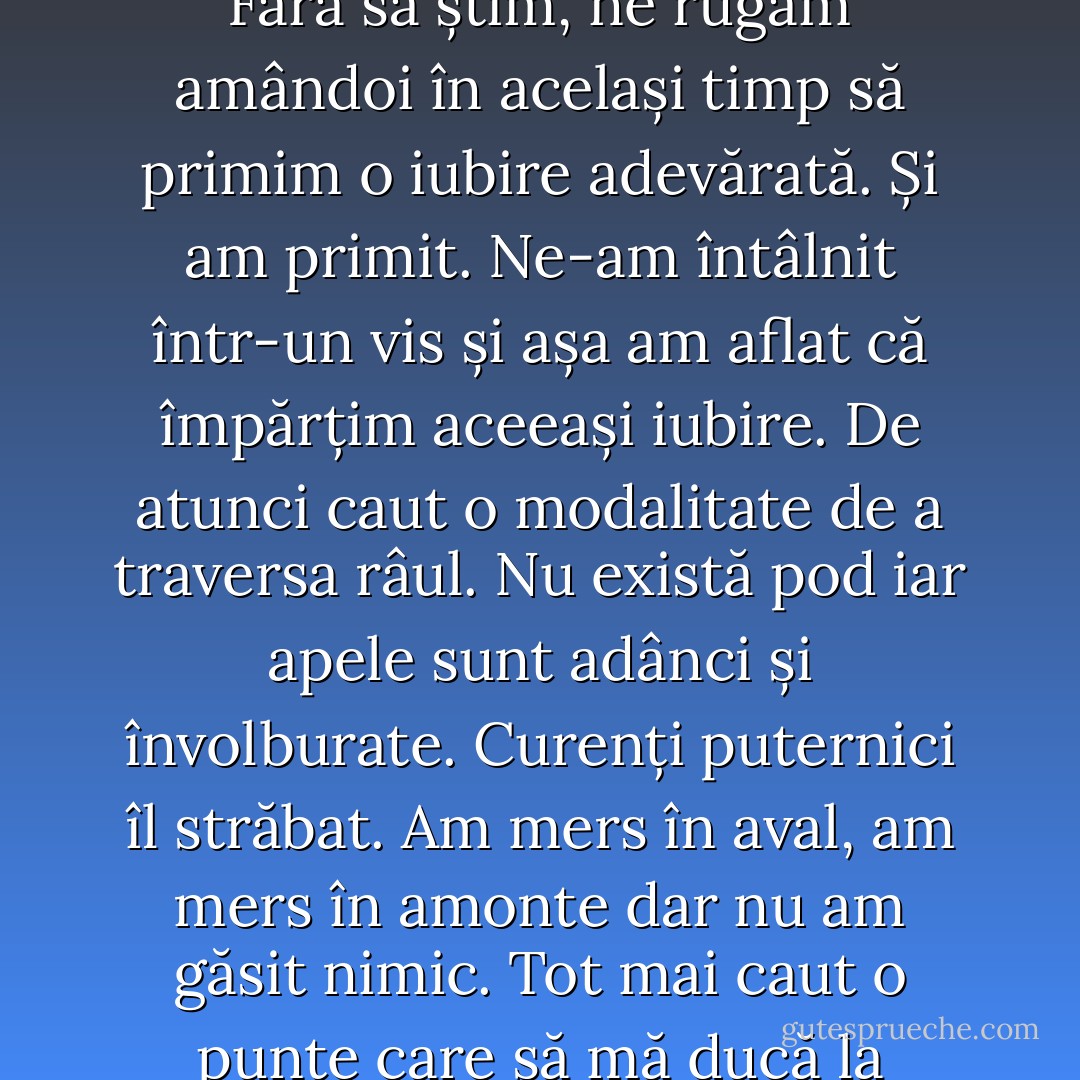 Noaptea trecută am visat-o. Eu locuiam pe malul drept al râului iar ea pe malul stâng. Fără să știm, ne rugam amândoi în același timp să primim o iubire adevărată. Și am primit. Ne-am întâlnit într-un vis și așa am aflat că împărțim aceeași iubire. De atunci caut o modalitate de a traversa râul. Nu există pod iar apele sunt adânci și învolburate. Curenți puternici îl străbat. Am mers în aval, am mers în amonte dar nu am găsit nimic. Tot mai caut o punte care să mă ducă la împlinire. Între timp... iubesc și sunt pe jumătate fericit. - Moise D.