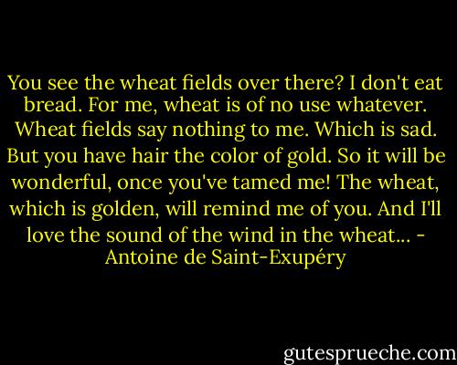 You see the wheat fields over there? I don't eat bread. For me, wheat is of no use whatever. Wheat fields say nothing to me. Which is sad. But you have hair the color of gold. So it will be wonderful, once you've tamed me! The wheat, which is golden, will remind me of you. And I'll love the sound of the wind in the wheat... - Antoine de Saint-Exupéry