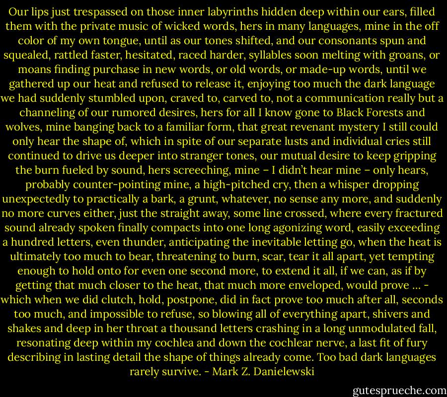 Our lips just trespassed on those inner labyrinths hidden deep within our ears, filled them with the private music of wicked words, hers in many languages, mine in the off color of my own tongue, until as our tones shifted, and our consonants spun and squealed, rattled faster, hesitated, raced harder, syllables soon melting with groans, or moans finding purchase in new words, or old words, or made-up words, until we gathered up our heat and refused to release it, enjoying too much the dark language we had suddenly stumbled upon, craved to, carved to, not a communication really but a channeling of our rumored desires, hers for all I know gone to Black Forests and wolves, mine banging back to a familiar form, that great revenant mystery I still could only hear the shape of, which in spite of our separate lusts and individual cries still continued to drive us deeper into stranger tones, our mutual desire to keep gripping the burn fueled by sound, hers screeching, mine – I didn’t hear mine – only hears, probably counter-pointing mine, a high-pitched cry, then a whisper dropping unexpectedly to practically a bark, a grunt, whatever, no sense any more, and suddenly no more curves either, just the straight away, some line crossed, where every fractured sound already spoken finally compacts into one long agonizing word, easily exceeding a hundred letters, even thunder, anticipating the inevitable letting go, when the heat is ultimately too much to bear, threatening to burn, scar, tear it all apart, yet tempting enough to hold onto for even one second more, to extend it all, if we can, as if by getting that much closer to the heat, that much more enveloped, would prove … - which when we did clutch, hold, postpone, did in fact prove too much after all, seconds too much, and impossible to refuse, so blowing all of everything apart, shivers and shakes and deep in her throat a thousand letters crashing in a long unmodulated fall, resonating deep within my cochlea and down the cochlear nerve, a last fit of fury describing in lasting detail the shape of things already come.<br />Too bad dark languages rarely survive. - Mark Z. Danielewski