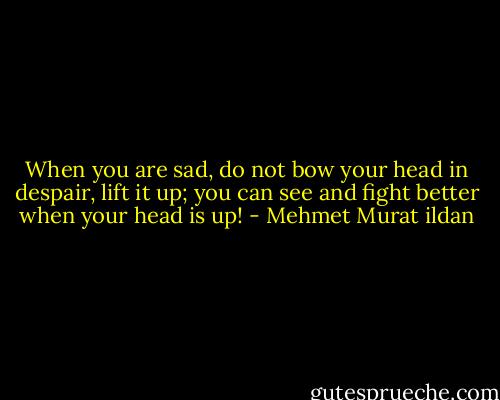 When you are sad, do not bow your head in despair, lift it up; you can see and fight better when your head is up! - Mehmet Murat ildan