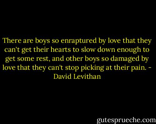 There are boys so enraptured by love that they can't get their hearts to slow down enough to get some rest, and other boys so damaged by love that they can't stop picking at their pain. - David Levithan