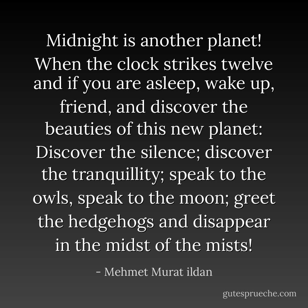 Midnight is another planet! When the clock strikes twelve and if you are asleep, wake up, friend, and discover the beauties of this new planet: Discover the silence; discover the tranquillity; speak to the owls, speak to the moon; greet the hedgehogs and disappear in the midst of the mists! - Mehmet Murat ildan