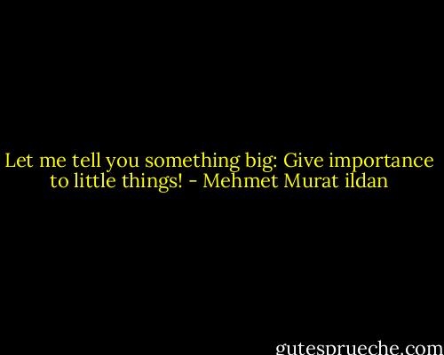 Let me tell you something big: Give importance to little things! - Mehmet Murat ildan