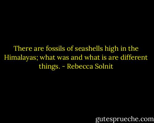 There are fossils of seashells high in the Himalayas; what was and what is are different things. - Rebecca Solnit