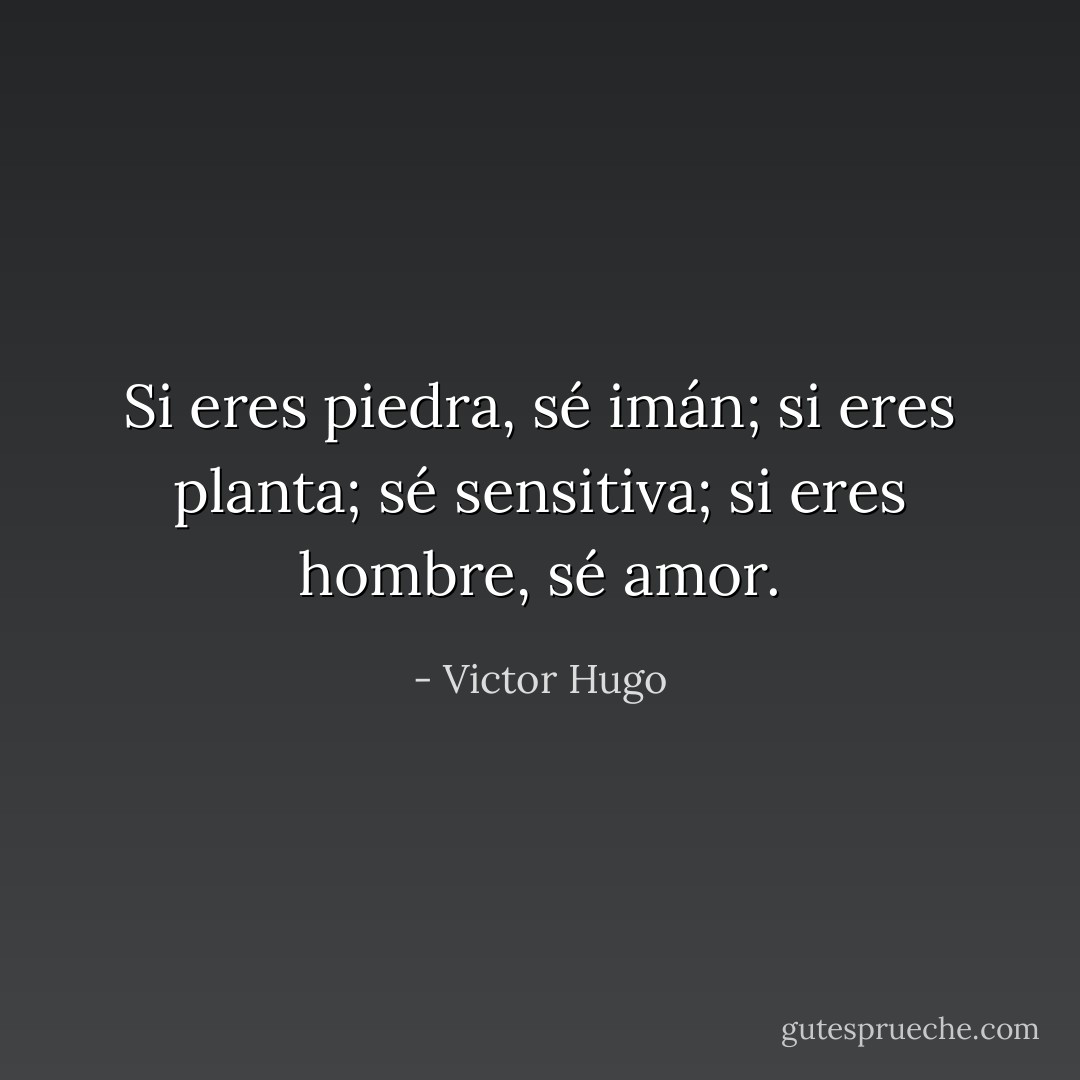 Si eres piedra, sé imán; si eres planta; sé sensitiva; si eres hombre, sé amor. - Victor Hugo