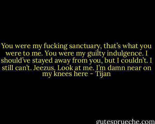You were my fucking sanctuary, that’s what you were to me. You were my guilty indulgence. I should’ve stayed away from you, but I couldn’t. I still can’t. Jeezus. Look at me. I’m damn near on my knees here - Tijan