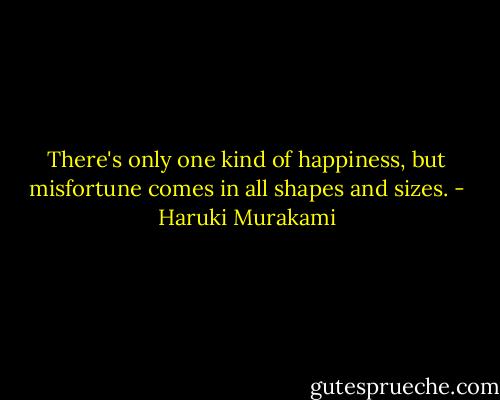 There's only one kind of happiness, but misfortune comes in all shapes and sizes. - Haruki Murakami