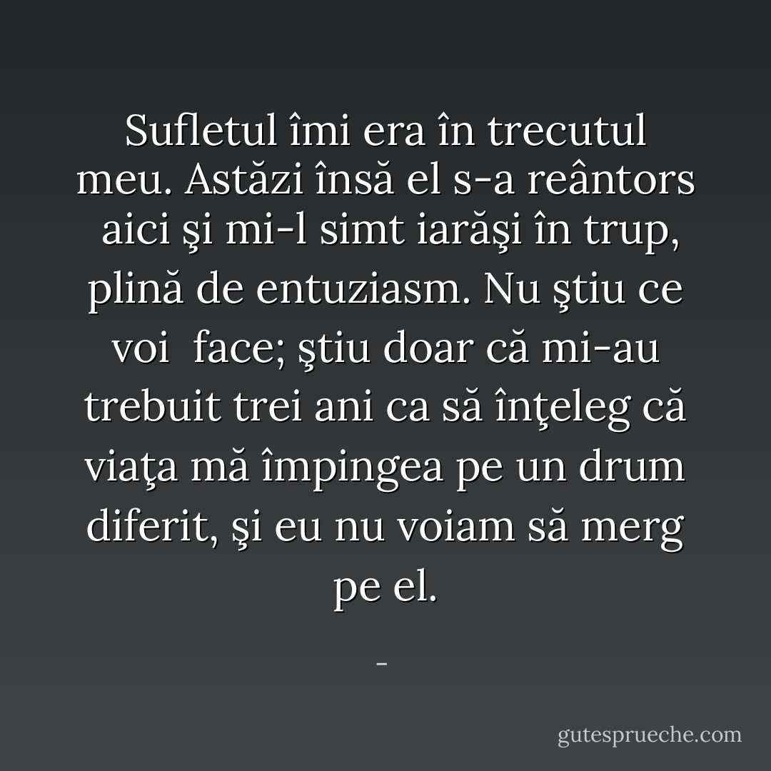 Sufletul îmi era în trecutul meu. Astăzi însă el s-a reântors <br />aici şi mi-l simt iarăşi în trup, plină de entuziasm. Nu ştiu ce voi <br />face; ştiu doar că mi-au trebuit trei ani ca să înţeleg că viaţa mă<br />împingea pe un drum diferit, şi eu nu voiam să merg pe el. - 