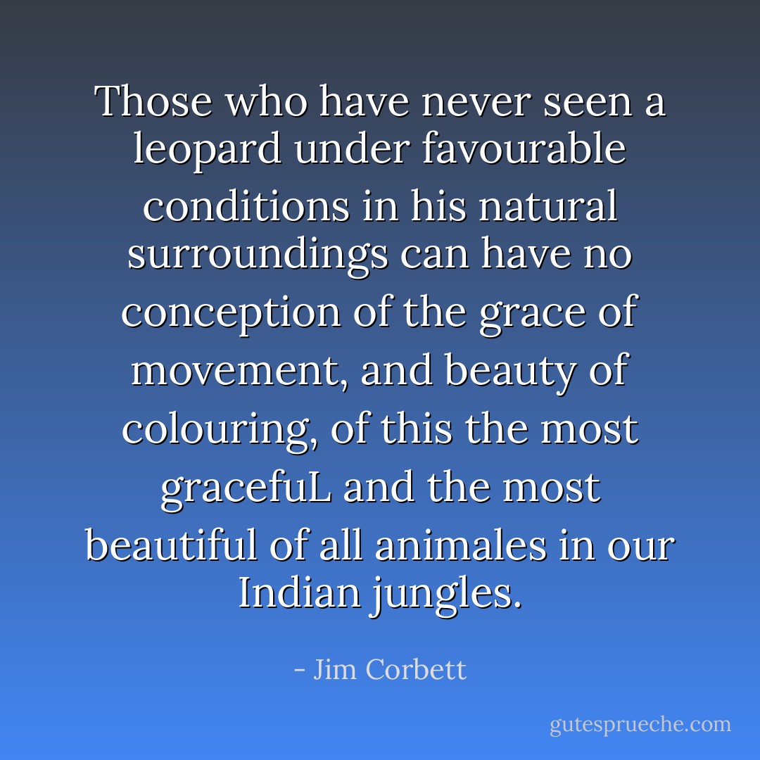Those who have never seen a leopard under favourable conditions in his natural surroundings can have no conception of the grace of movement, and beauty of colouring, of this the most gracefuL and the most beautiful of all animales in our Indian jungles. - Jim Corbett