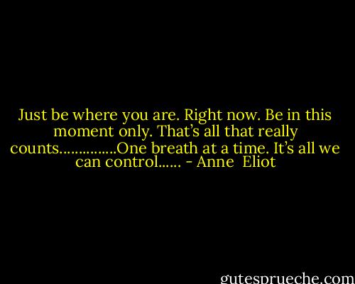 Just be where you are. Right now. Be in this moment only. That’s all that really counts...............One breath at a time. It’s all we can control...... - Anne  Eliot