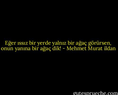 Eğer ıssız bir yerde yalnız bir ağaç görürsen, onun yanına bir ağaç dik! - Mehmet Murat ildan