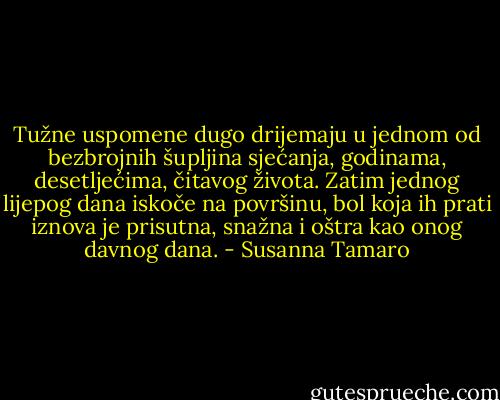 Tužne uspomene dugo drijemaju u jednom od bezbrojnih šupljina sjećanja, godinama, desetljećima, čitavog života. Zatim jednog lijepog dana iskoče na površinu, bol koja ih prati iznova je prisutna, snažna i oštra kao onog davnog dana. - Susanna Tamaro