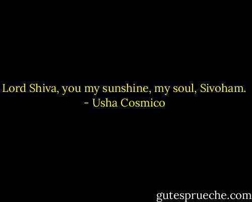 Lord Shiva, you my sunshine, my soul, Sivoham. - Usha Cosmico