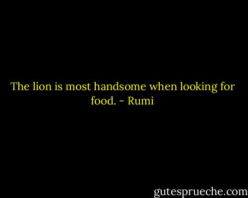 The lion is most handsome when looking for food. - Rumi