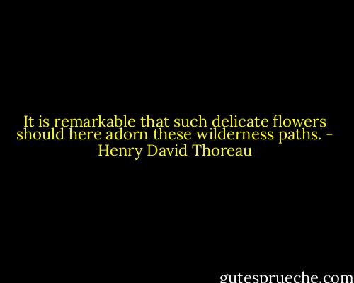 It is remarkable that such delicate flowers should here adorn these wilderness paths. - Henry David Thoreau