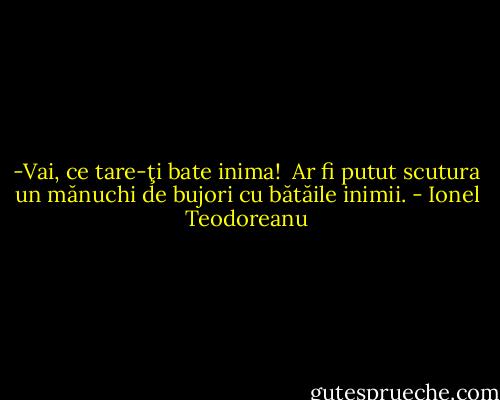 -Vai, ce tare-ţi bate inima!<br /> Ar fi putut scutura un mănuchi de bujori cu bătăile inimii. - Ionel Teodoreanu