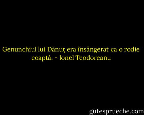 Genunchiul lui Dănuţ era însângerat ca o rodie coaptă. - Ionel Teodoreanu
