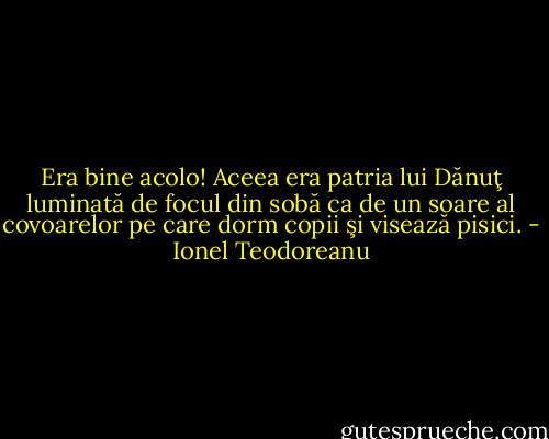 Era bine acolo! Aceea era patria lui Dănuţ luminată de focul din sobă ca de un soare al covoarelor pe care dorm copii şi visează pisici. - Ionel Teodoreanu