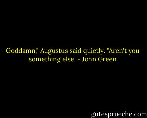 Goddamn," Augustus said quietly. "Aren't you something else. - John Green