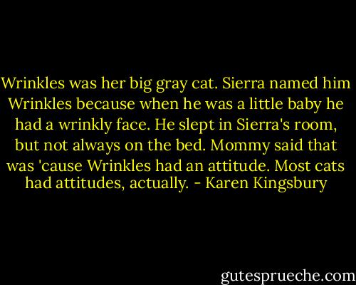 Wrinkles was her big gray cat. Sierra named him Wrinkles because when he was a little baby he had a wrinkly face. He slept in Sierra's room, but not always on the bed. Mommy said that was 'cause Wrinkles had an attitude. Most cats had attitudes, actually. - Karen Kingsbury