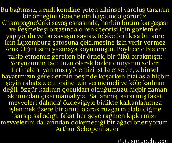 Bu bağımsız, kendi kendine yeten zihinsel varoluş tarzının bir örneğini Goethe'nin hayatında görürüz. Champagne'daki savaş esnasında, harbin bütün kargaşası ve keşmekeşi ortasında o renk teorisi için gözlemler yapıyordu ve bu savaşın sayısız felaketleri kısa bir süre için Luxemburg şatosuna çekilmesine izin verir vermez Renk Öğretisi'ni yazmaya koyulmuştu. Böylece o bizlere takip etmemiz gereken bir örnek, bir ülkü bırakmıştı: Yeryüzünün tadı tuzu olarak bizler dünyanın selleri fırtınaları, yanımızı yöremizi istila etse de, zihinsel hayatımızın gereklerinin peşinde koşarken bizi asla hiçbir şeyin rahatsız etmesine izin vermemeli ve köle kadının değil, özgür kadının çocukları olduğumuzu hiçbir zaman aklımızdan çıkarmamalıyız. 'Sallanmış, sarsılmış fakat meyveleri dalında' özdeyişiyle birlikte kalkanlarımıza işlenmek üzere bir arma olarak rüzgarın alabildiğine sarsıp salladığı, fakat her şeye rağmen kıpkırmızı meyvelerini dallarından dökemediği bir ağacı öneriyorum. - Arthur Schopenhauer