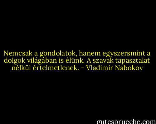 Nemcsak a gondolatok, hanem egyszersmint a dolgok világában is élünk. A szavak tapasztalat nélkül értelmetlenek. - Vladimir Nabokov