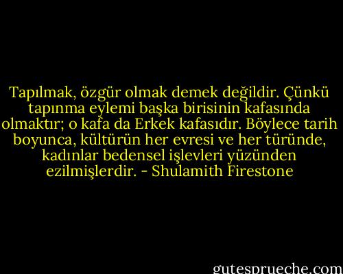 Tapılmak, özgür olmak demek değildir. Çünkü tapınma eylemi başka birisinin kafasında olmaktır; o kafa da Erkek kafasıdır. Böylece tarih boyunca, kültürün her evresi ve her türünde, kadınlar bedensel işlevleri yüzünden ezilmişlerdir. - Shulamith Firestone