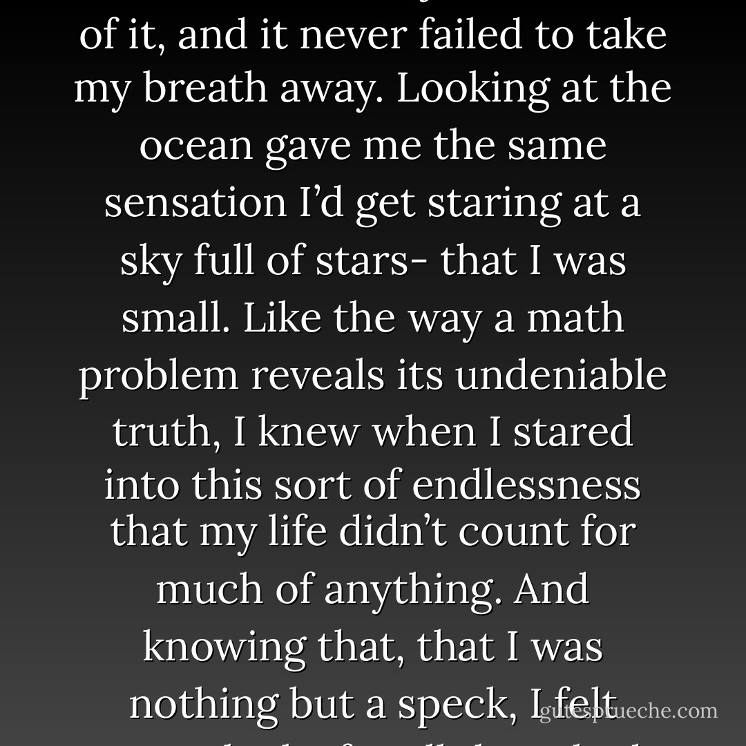 We sat looking out at the ocean. There was just so much of it, and it never failed to take my breath away. Looking at the ocean gave me the same sensation I’d get staring at a sky full of stars- that I was small. Like the way a math problem reveals its undeniable truth, I knew when I stared into this sort of endlessness that my life didn’t count for much of anything. And knowing that, that I was nothing but a speck, I felt pretty lucky for all that I had. - Dana Reinhardt