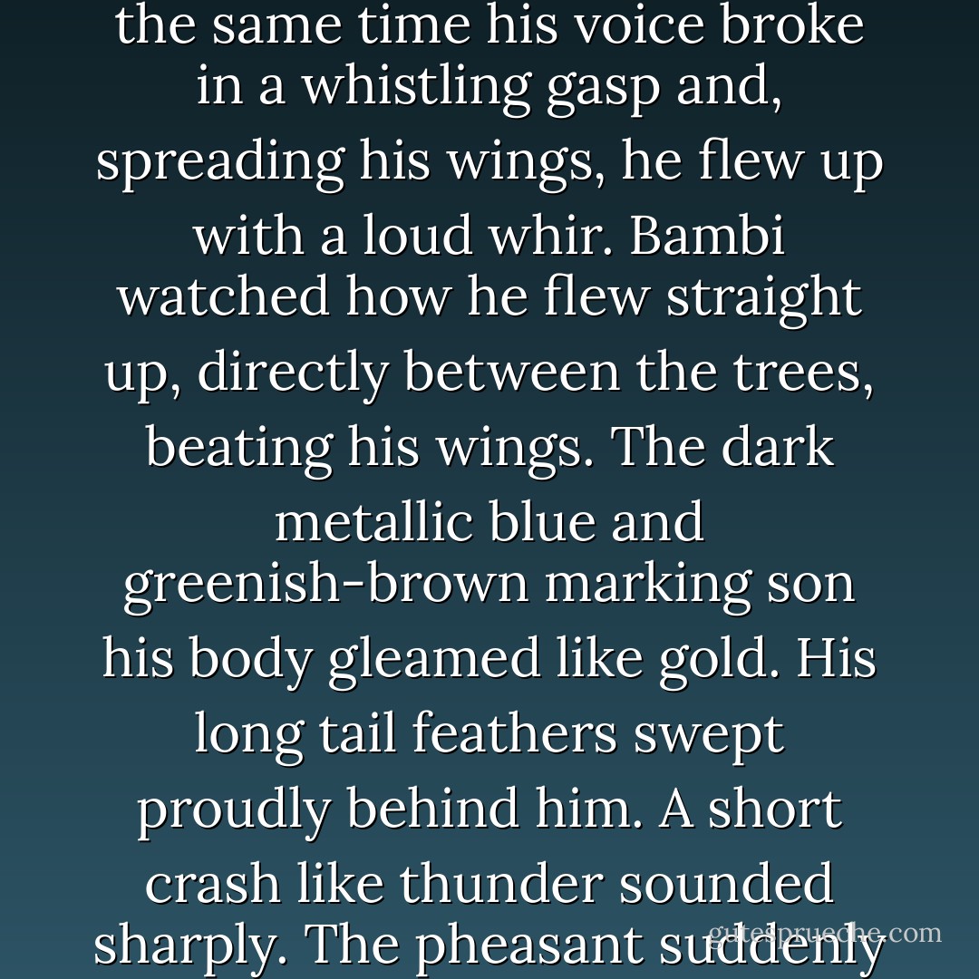 Don't lose your head," screamed the pheasant. And at the same time his voice broke in a whistling gasp and, spreading his wings, he flew up with a loud whir. Bambi watched how he flew straight up, directly between the trees, beating his wings. The dark metallic blue and greenish-brown marking son his body gleamed like gold. His long tail feathers swept proudly behind him. A short crash like thunder sounded sharply. The pheasant suddenly crumpled up in mid-flight. - Felix Salten