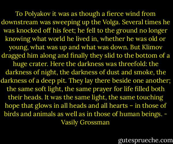 To Polyakov it was as though a fierce wind from downstream was sweeping up the Volga. Several times he was knocked off his feet; he fell to the ground no longer knowing what world he lived in, whether he was old or young, what was up and what was down. But Klimov dragged him along and finally they slid to the bottom of a huge crater. Here the darkness was threefold: the darkness of night, the darkness of dust and smoke, the darkness of a deep pit.<br />They lay there beside one another; the same soft light, the same prayer for life filled both their heads. It was the same light, the same touching hope that glows in all heads and all hearts – in those of birds and animals as well as in those of human beings. - Vasily Grossman