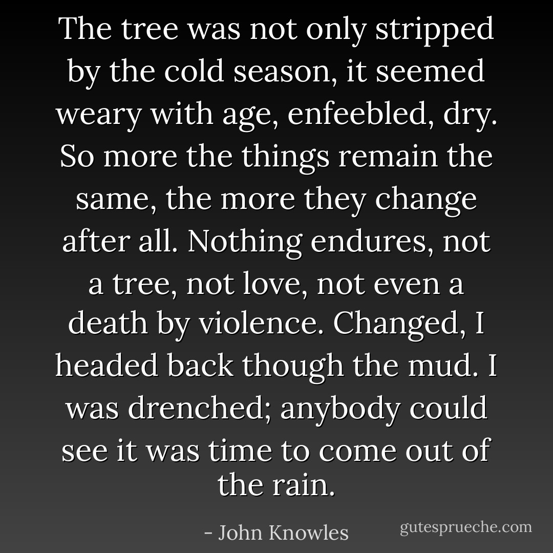 The tree was not only stripped by the cold season, it seemed weary with age, enfeebled, dry. So more the things remain the same, the more they change after all. Nothing endures, not a tree, not love, not even a death by violence. Changed, I headed back though the mud. I was drenched; anybody could see it was time to come out of the rain. - John Knowles