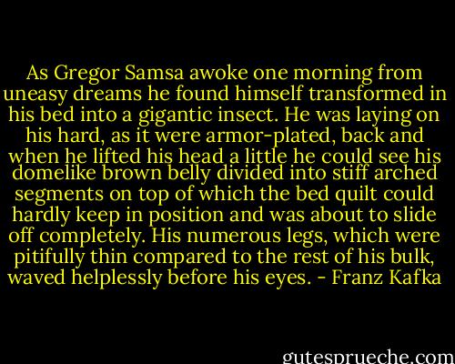 As Gregor Samsa awoke one morning from uneasy dreams he found himself transformed in his bed into a gigantic insect. He was laying on his hard, as it were armor-plated, back and when he lifted his head a little he could see his domelike brown belly divided into stiff arched segments on top of which the bed quilt could hardly keep in position and was about to slide off completely. His numerous legs, which were pitifully thin compared to the rest of his bulk, waved helplessly before his eyes. - Franz Kafka