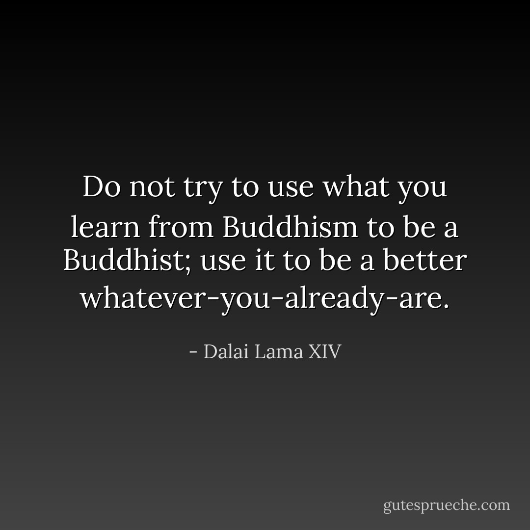 Do not try to use what you learn from Buddhism to be a Buddhist; use it to be a better whatever-you-already-are. - Dalai Lama XIV
