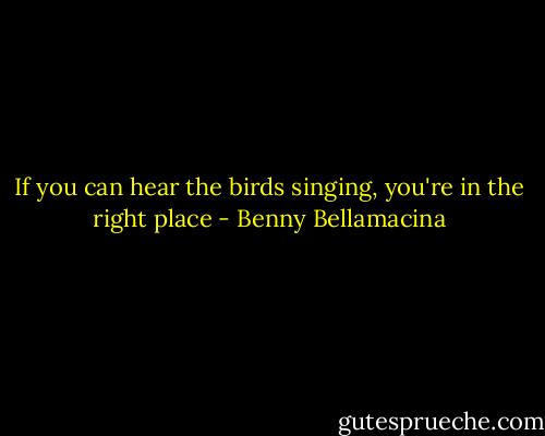 If you can hear the birds singing, you're in the right place - Benny Bellamacina