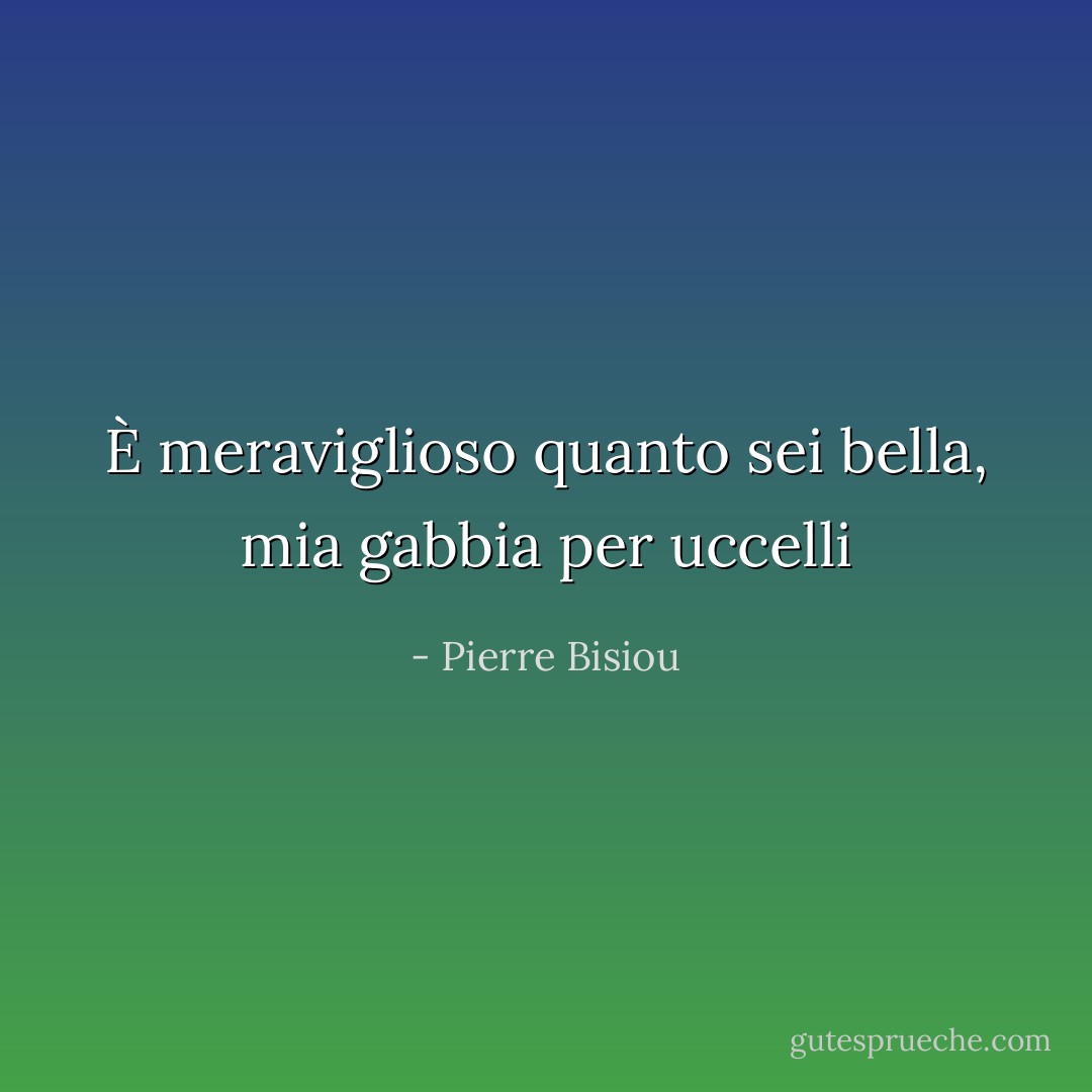È meraviglioso quanto sei bella, mia gabbia per<br />uccelli - Pierre Bisiou