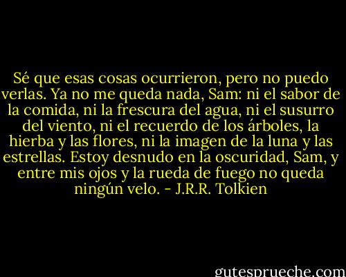 Sé que esas cosas ocurrieron, pero no puedo verlas. Ya no me queda nada, Sam: ni el sabor de la comida, ni la frescura del agua, ni el susurro del viento, ni el recuerdo de los árboles, la hierba y las flores, ni la imagen de la luna y las estrellas. Estoy desnudo en la oscuridad, Sam, y entre mis ojos y la rueda de fuego no queda ningún velo. - J.R.R. Tolkien