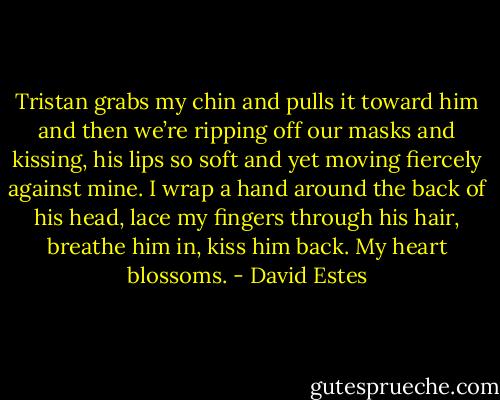 Tristan grabs my chin and pulls it toward him and then we’re ripping off our masks and kissing, his lips so soft and yet moving fiercely against mine. I wrap a hand around the back of his head, lace my fingers through his hair, breathe him in, kiss him back. My heart blossoms. - David Estes