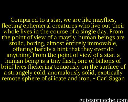 Compared to a star, we are like mayflies, fleeting ephemeral creatures who live out their whole lives in the course of a single day. From the point of view of a mayfly, human beings are stolid, boring, almost entirely immovable, offering hardly a hint that they ever do anything. From the point of view of a star, a human being is a tiny flash, one of billions of brief lives flickering tenuously on the surface of a strangely cold, anomalously solid, exotically remote sphere of silicate and iron. - Carl Sagan
