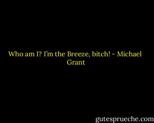 Who am I? I’m the Breeze, bitch! - Michael  Grant