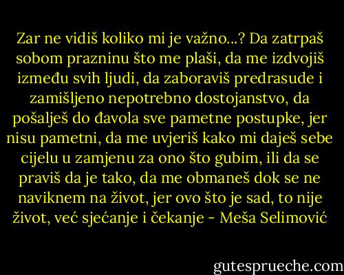 Zar ne vidiš koliko mi je važno...? Da zatrpaš sobom prazninu što me plaši, da me izdvojiš između svih ljudi, da zaboraviš predrasude i zamišljeno nepotrebno dostojanstvo, da pošalješ do đavola sve pametne postupke, jer nisu pametni, da me uvjeriš kako mi daješ sebe cijelu u zamjenu za ono što gubim, ili da se praviš da je tako, da me obmaneš dok se ne naviknem na život, jer ovo što je sad, to nije život, već sjećanje i čekanje - Meša Selimović