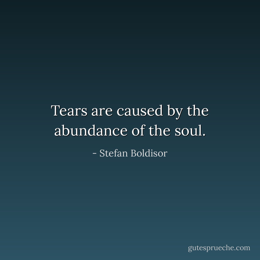 Tears are caused by the abundance of the soul. - Stefan Boldisor