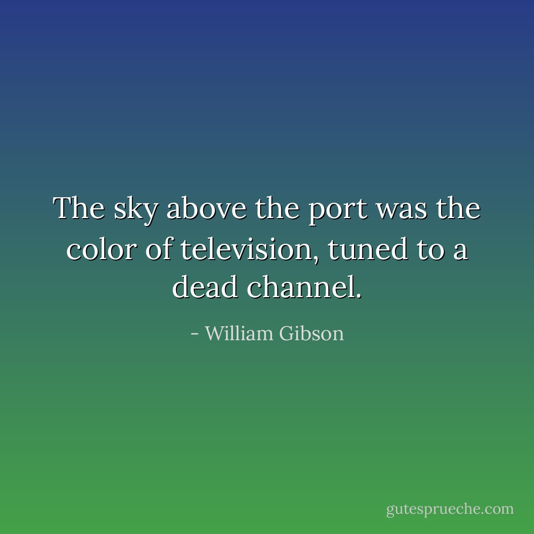 The sky above the port was the color of television, tuned to a dead channel. - William Gibson