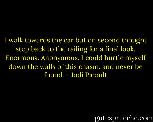 I walk towards the car but on second thought step back to the railing for a final look. Enormous. Anonymous. I could hurtle myself down the walls of this chasm, and never be found. - Jodi Picoult
