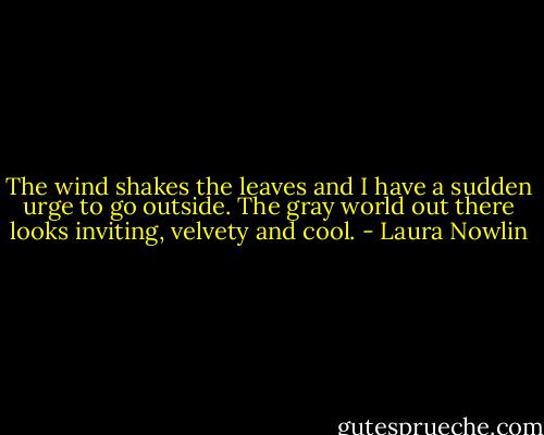 The wind shakes the leaves and I have a sudden urge to go outside. The gray world out there looks inviting, velvety and cool. - Laura Nowlin