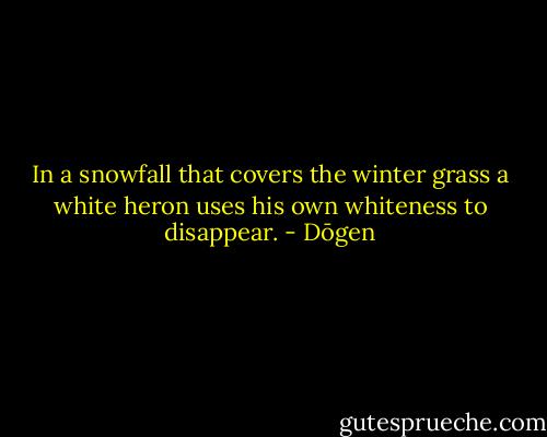 In a snowfall that covers the winter grass a white heron uses his own whiteness to disappear. - Dōgen