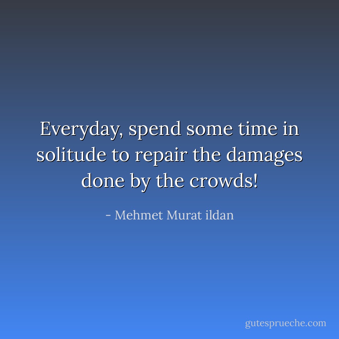 Everyday, spend some time in solitude to repair the damages done by the crowds! - Mehmet Murat ildan