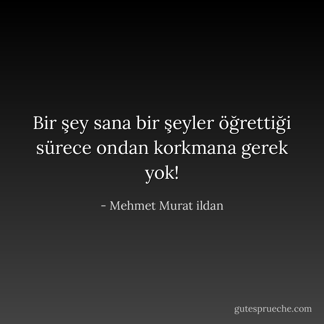 Bir şey sana bir şeyler öğrettiği sürece ondan korkmana gerek yok! - Mehmet Murat ildan
