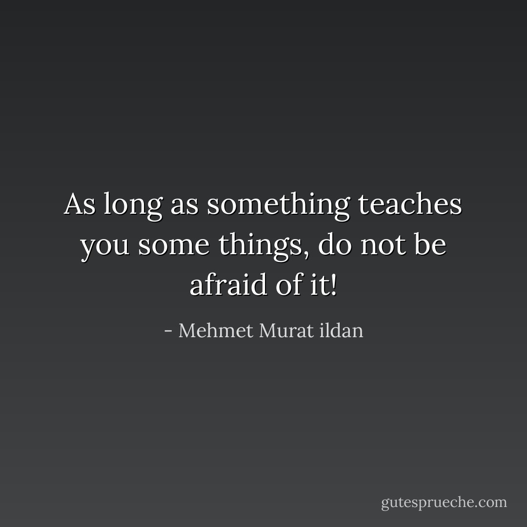 As long as something teaches you some things, do not be afraid of it! - Mehmet Murat ildan