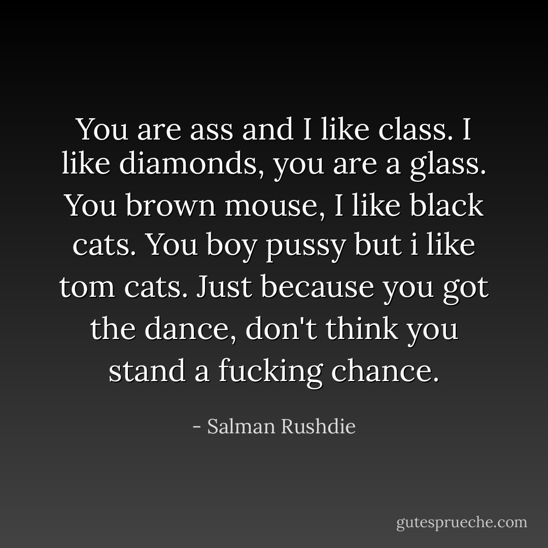 You are ass and I like class. I like diamonds, you are a glass. You brown mouse, I like black cats. You boy pussy but i like tom cats. Just because you got the dance, don't think you stand a fucking chance. - Salman Rushdie